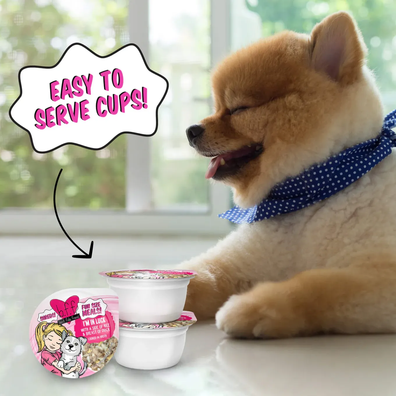 Weruva BFF Best Fido Friend Wet Dog Food
