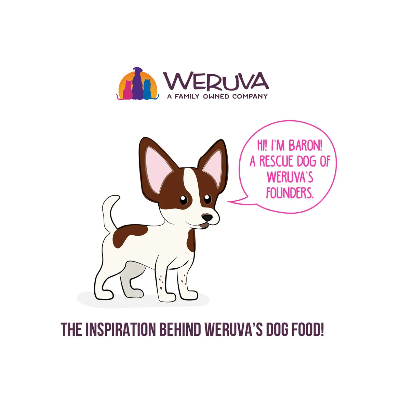 Weruva BFF Best Fido Friend Wet Dog Food