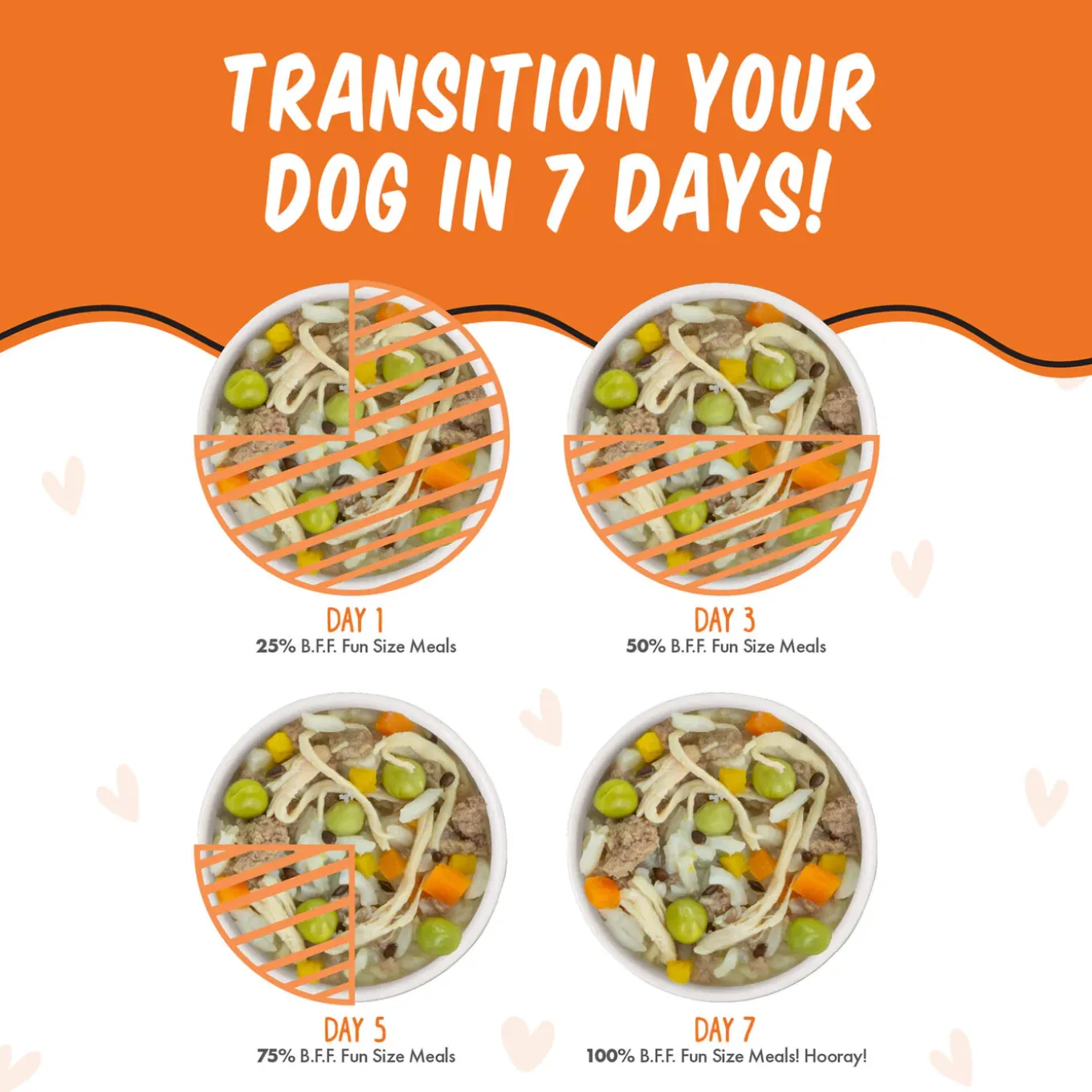 Weruva BFF Best Fido Friend Wet Dog Food
