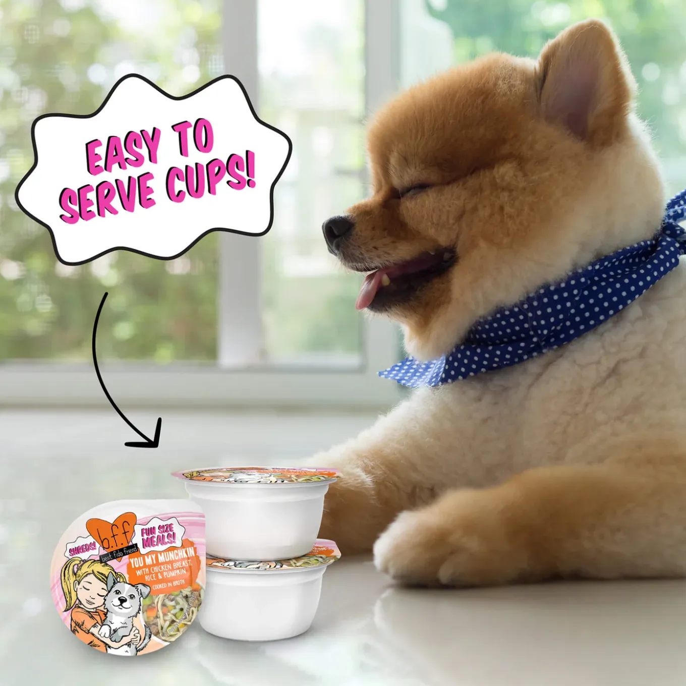 Weruva BFF Best Fido Friend Wet Dog Food