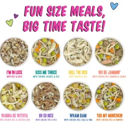 Weruva BFF Best Fido Friend Wet Dog Food