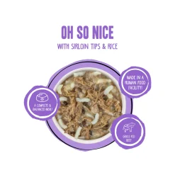 Weruva BFF Best Fido Friend Wet Dog Food