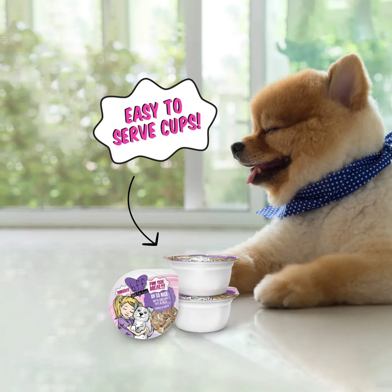 Weruva BFF Best Fido Friend Wet Dog Food