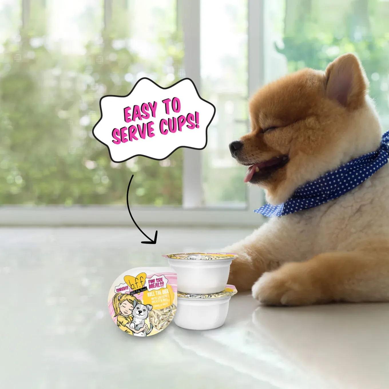 Weruva BFF Best Fido Friend Wet Dog Food