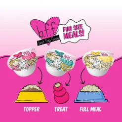 Weruva BFF Best Fido Friend Wet Dog Food