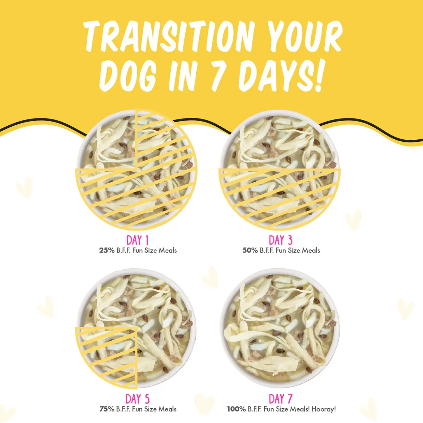 Weruva BFF Best Fido Friend Wet Dog Food