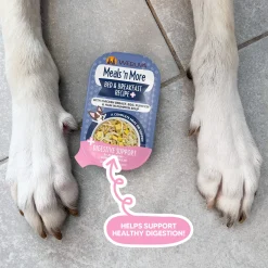 Weruva Meals 'n More Digestion Support Wet Dog Food