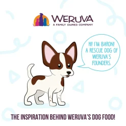 Weruva Meals 'n More Digestion Support Wet Dog Food