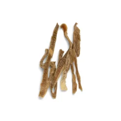 West Paw Single Ingredient Air Dried Dog Treats