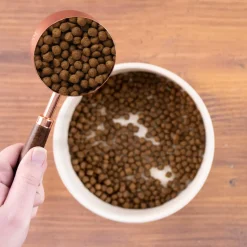 Wholesomes Dry Cat Food for Cats & Kittens
