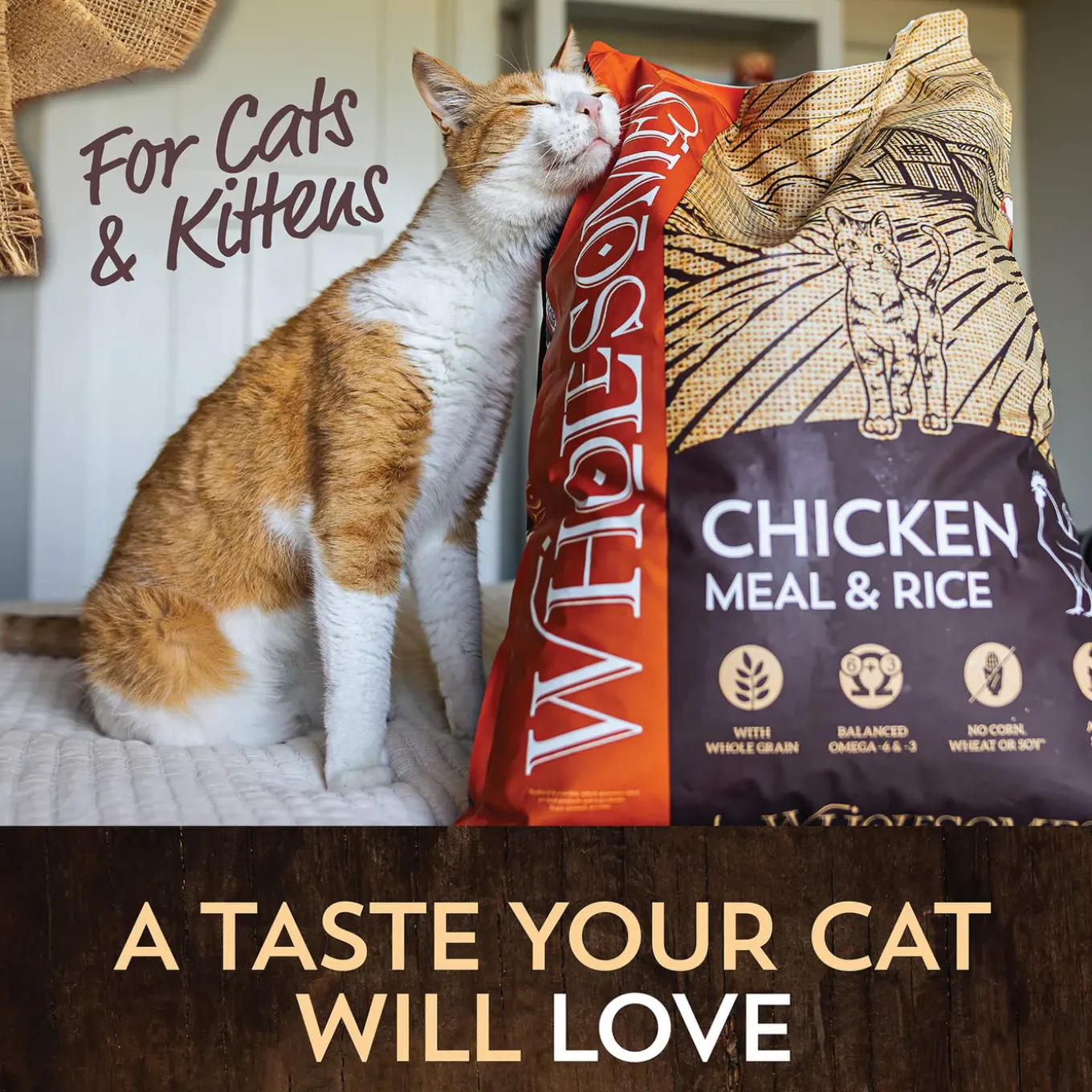 Wholesomes Dry Cat Food for Cats & Kittens