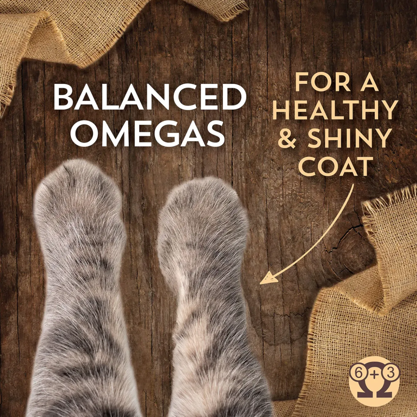 Wholesomes Sensitive Skin & Stomach Dry Cat Food
