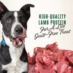 Wholesomes Gourmet Rewards Lite Bites Low Calorie Dog Treats