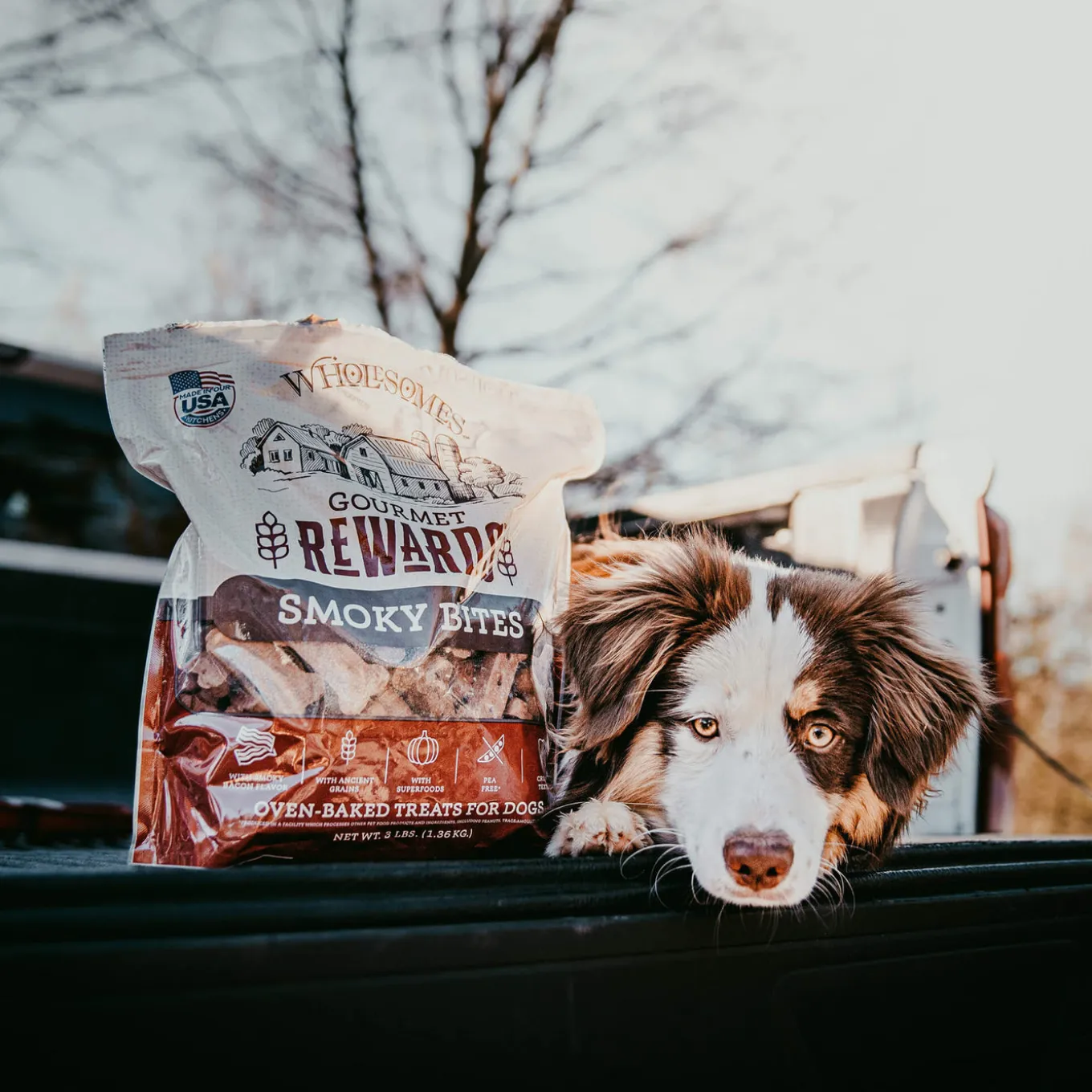 Wholesomes Gourmet Rewards Oven Baked Dog Treats