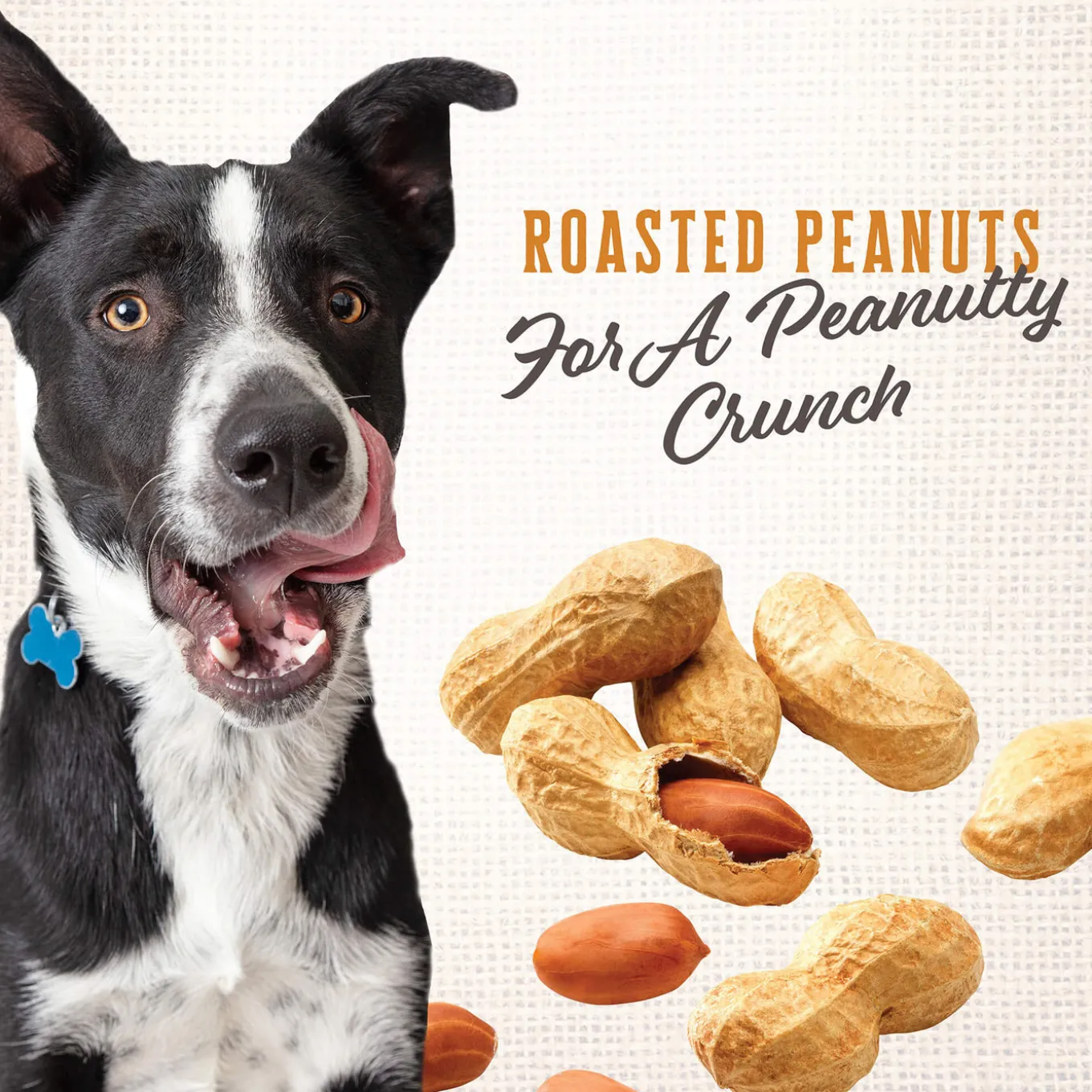 Wholesomes Gourmet Rewards Oven Baked Dog Treats