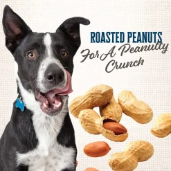 Wholesomes Gourmet Rewards Oven Baked Dog Treats