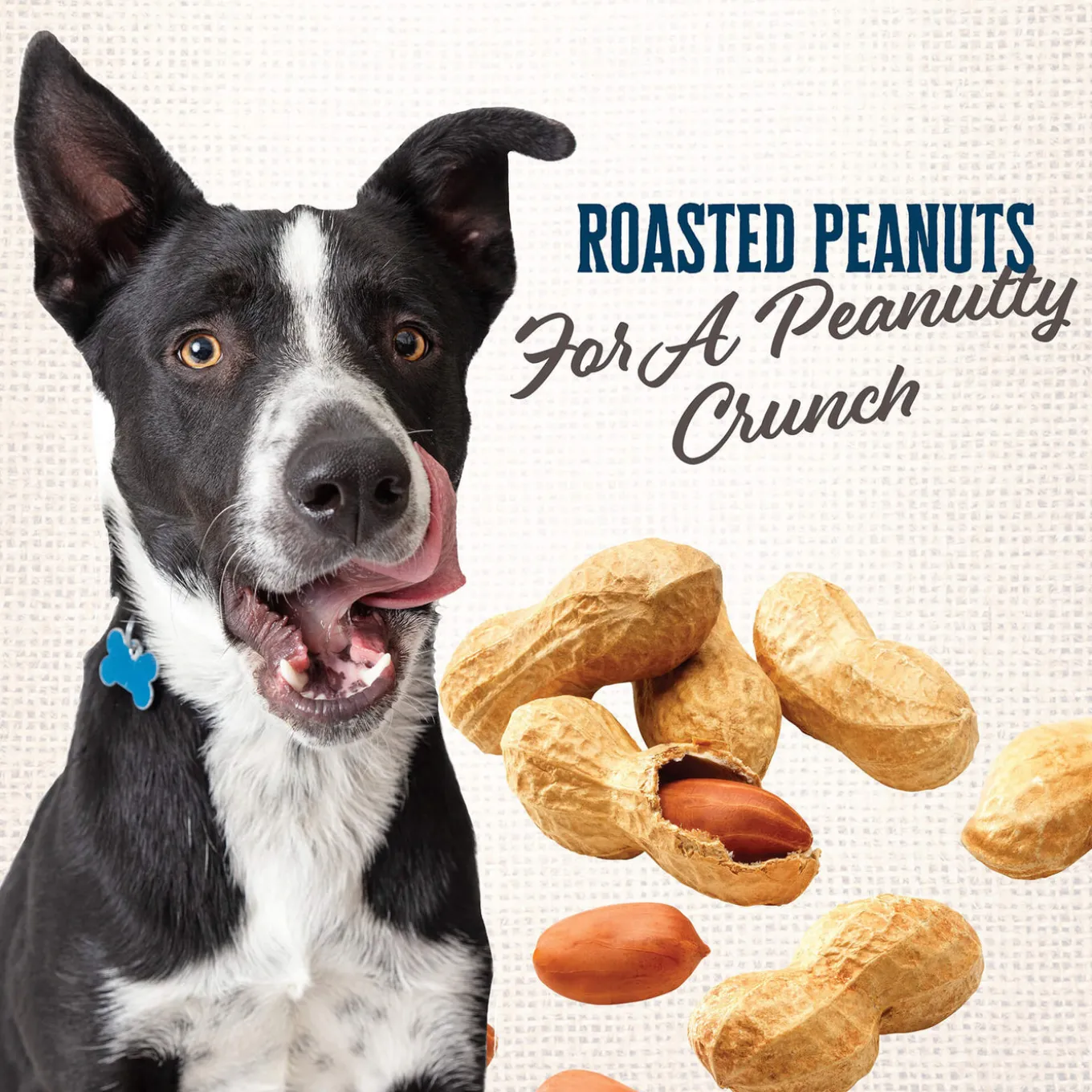 Wholesomes Gourmet Rewards Oven Baked Dog Treats