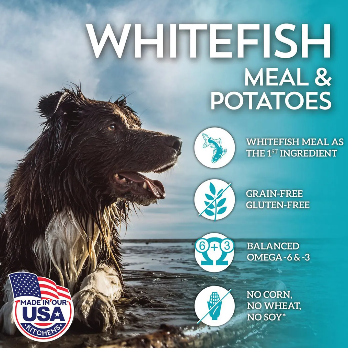 Wholesomes Grain-Free Dry Dog Food