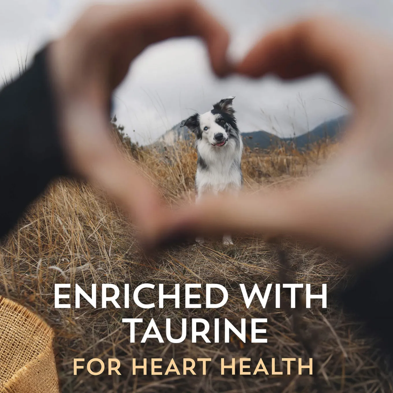 Wholesomes Grain-Free Dry Dog Food