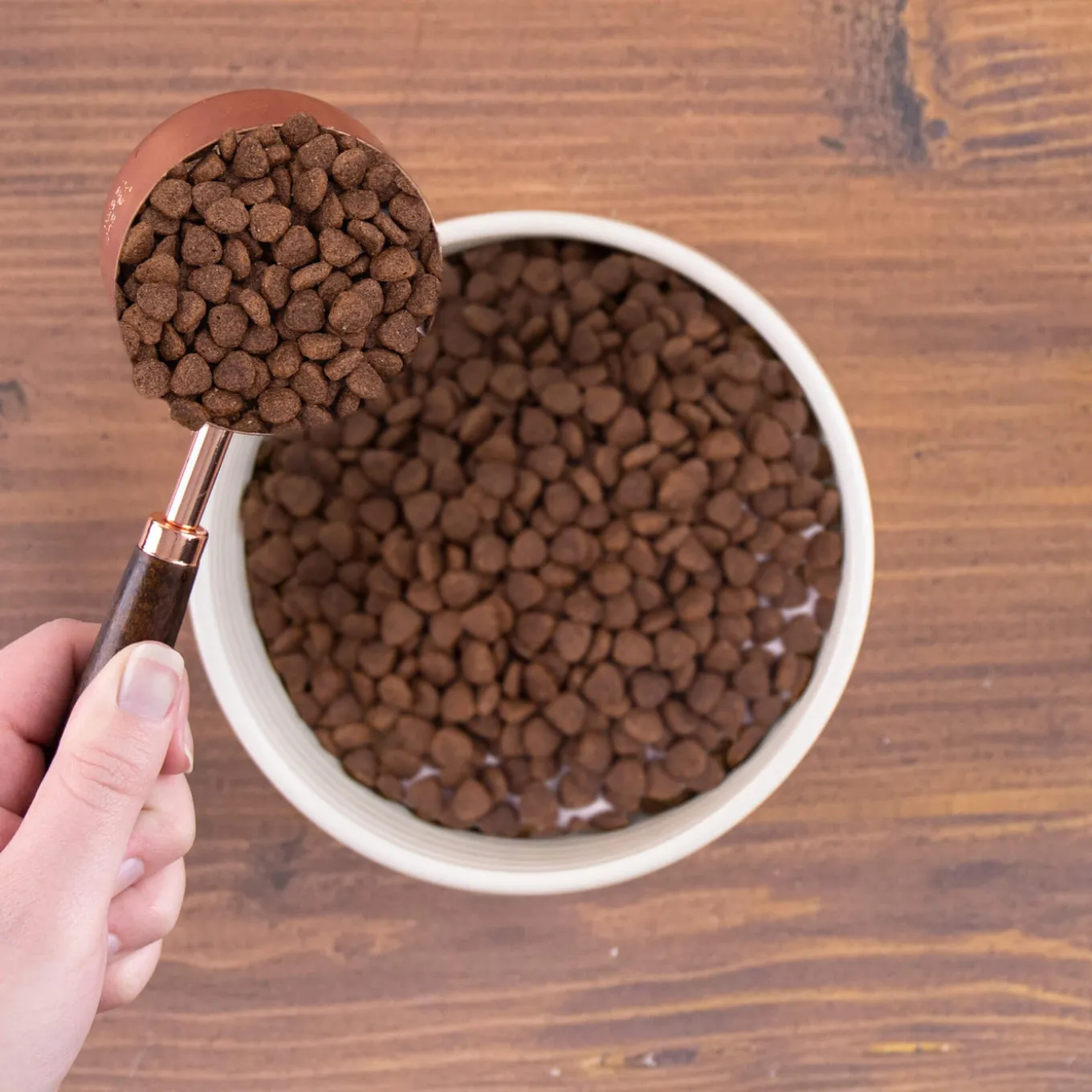 Wholesomes Grain-Free Dry Dog Food