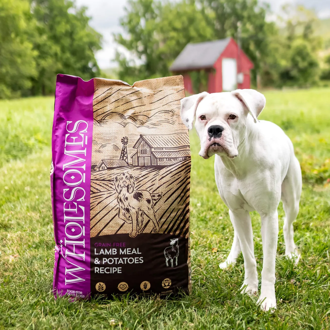 Wholesomes Grain-Free Dry Dog Food