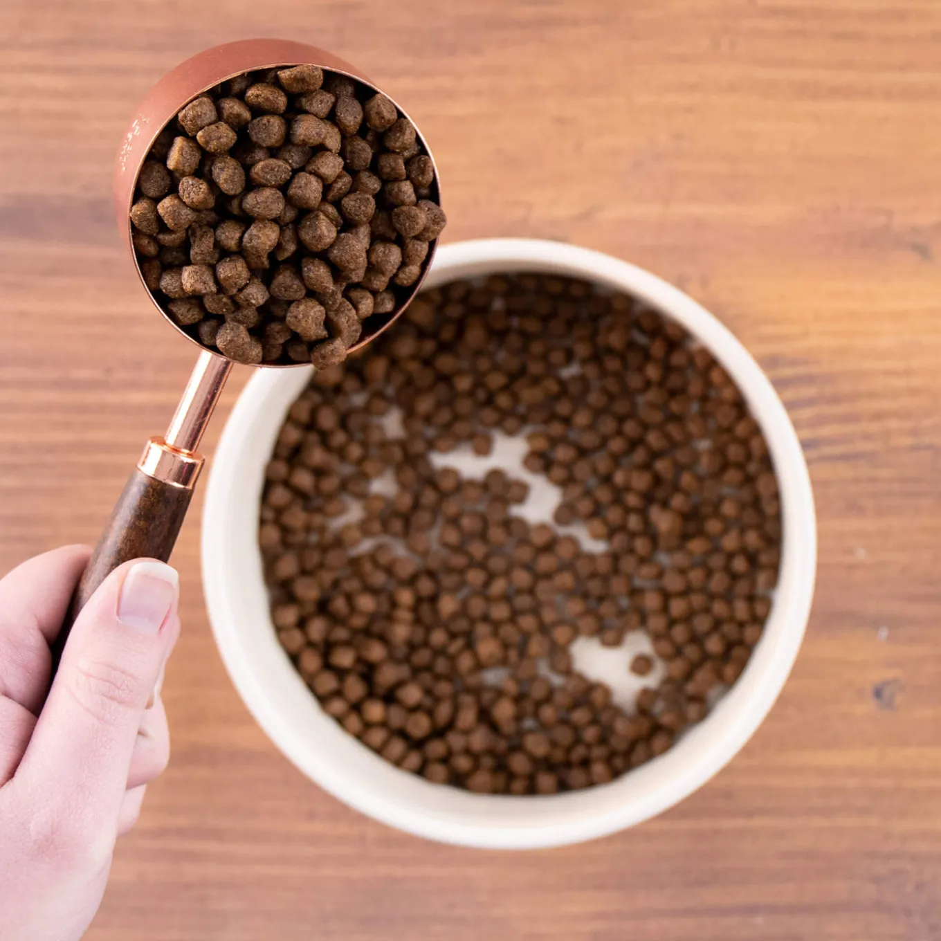 Wholesomes Puppy Dry Dog Food