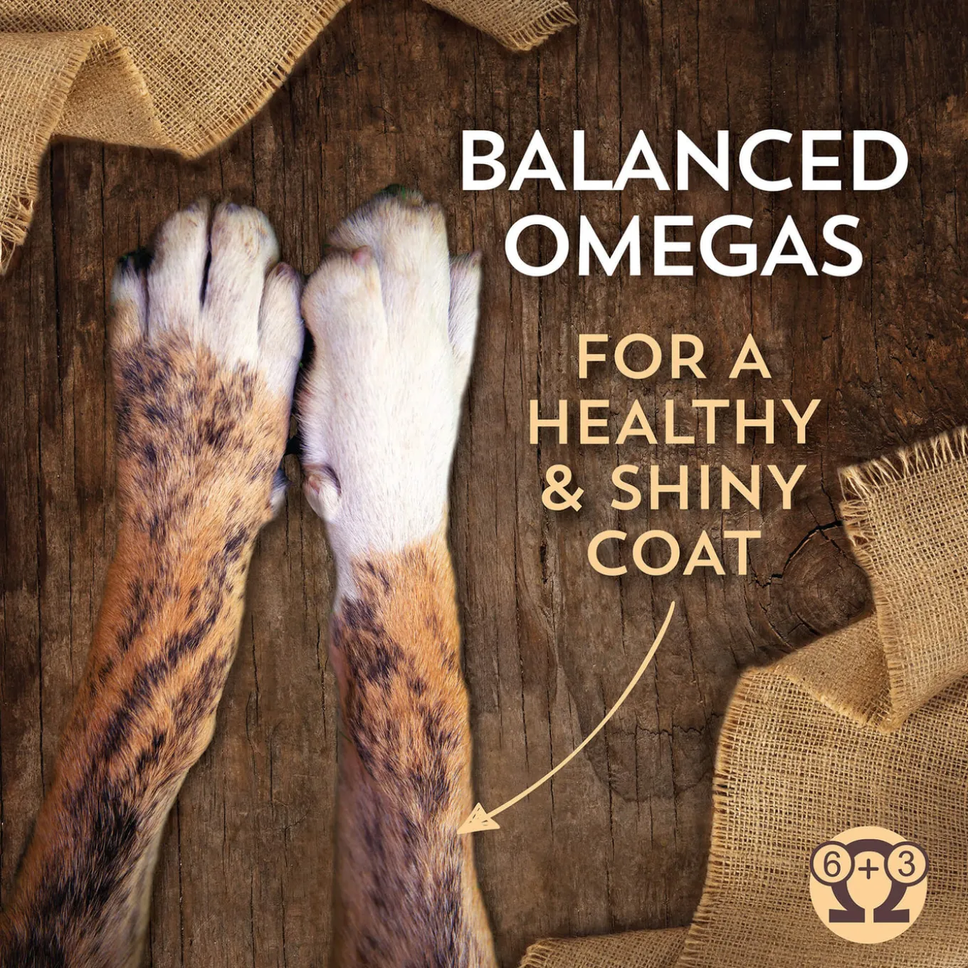 Wholesomes Puppy Dry Dog Food