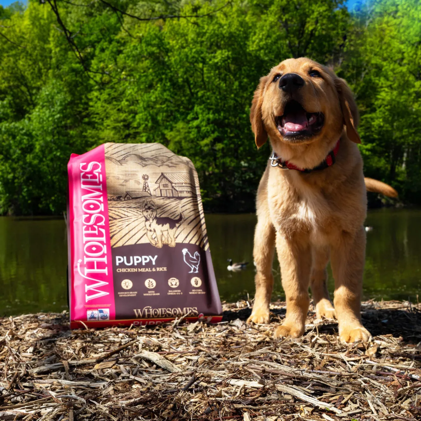 Wholesomes Puppy Dry Dog Food