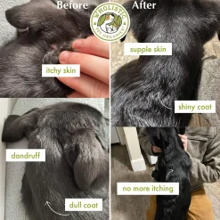 Wholistic Pet Organics Wild Salmon Oil for Dogs & Cats