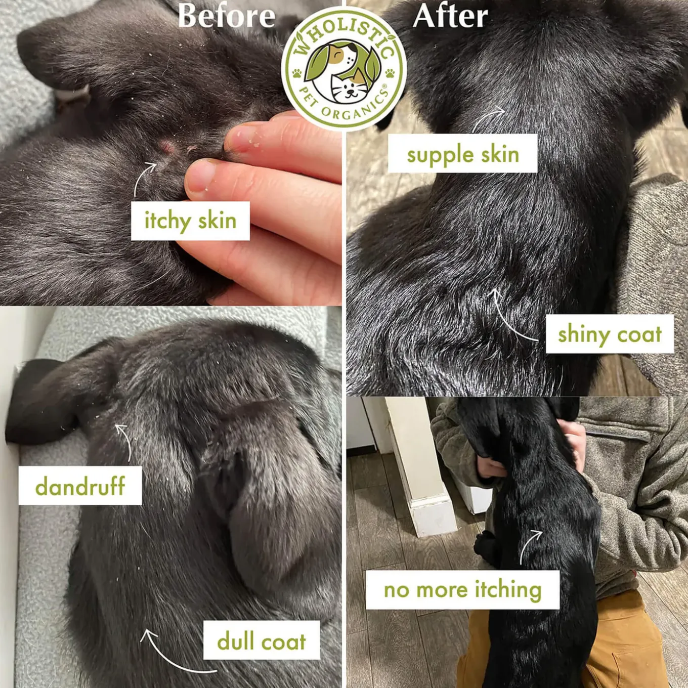 Wholistic Pet Organics Wild Salmon Oil for Dogs & Cats