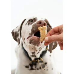 Winnie Lou Crunchy Organic Dog Treats