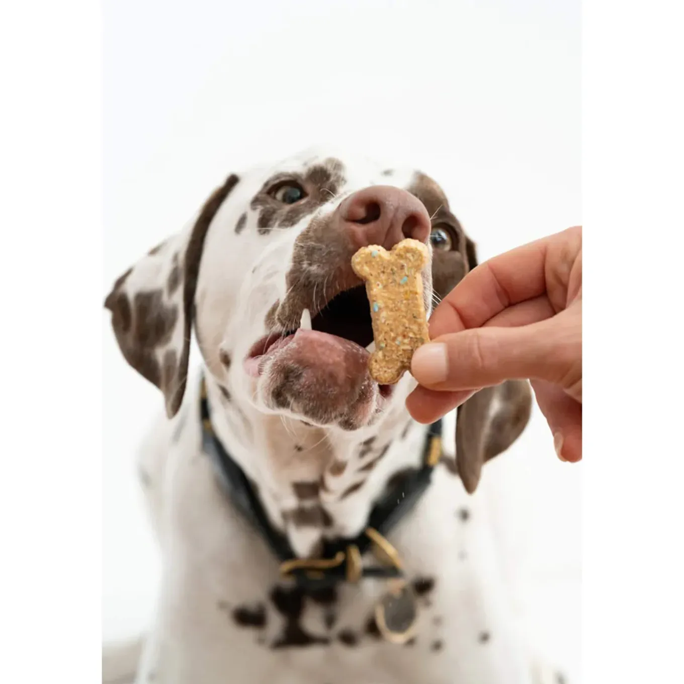 Winnie Lou Crunchy Organic Dog Treats