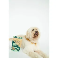 Winnie Lou Crunchy Organic Dog Treats