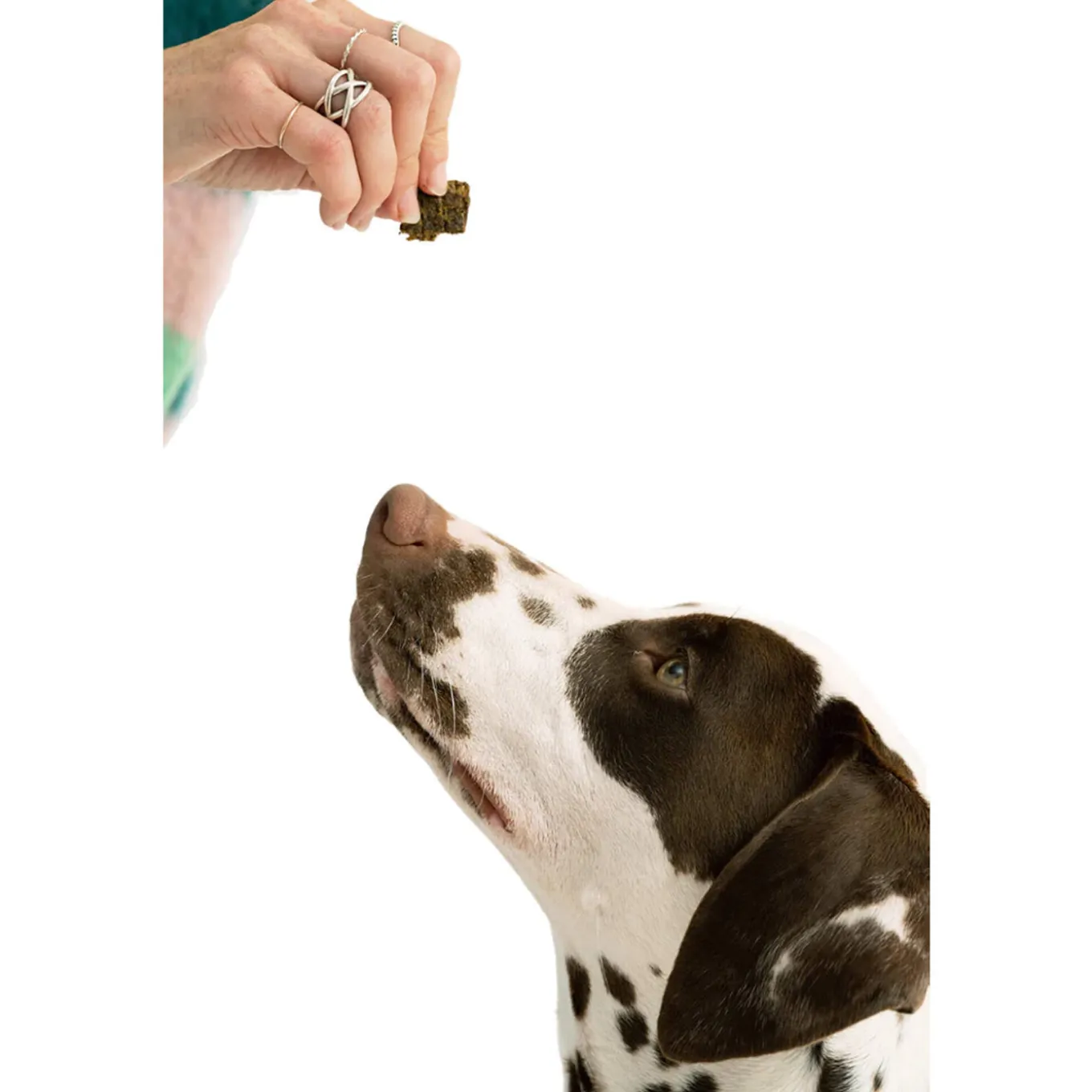 Winnie Lou Jerky Treats for Dogs