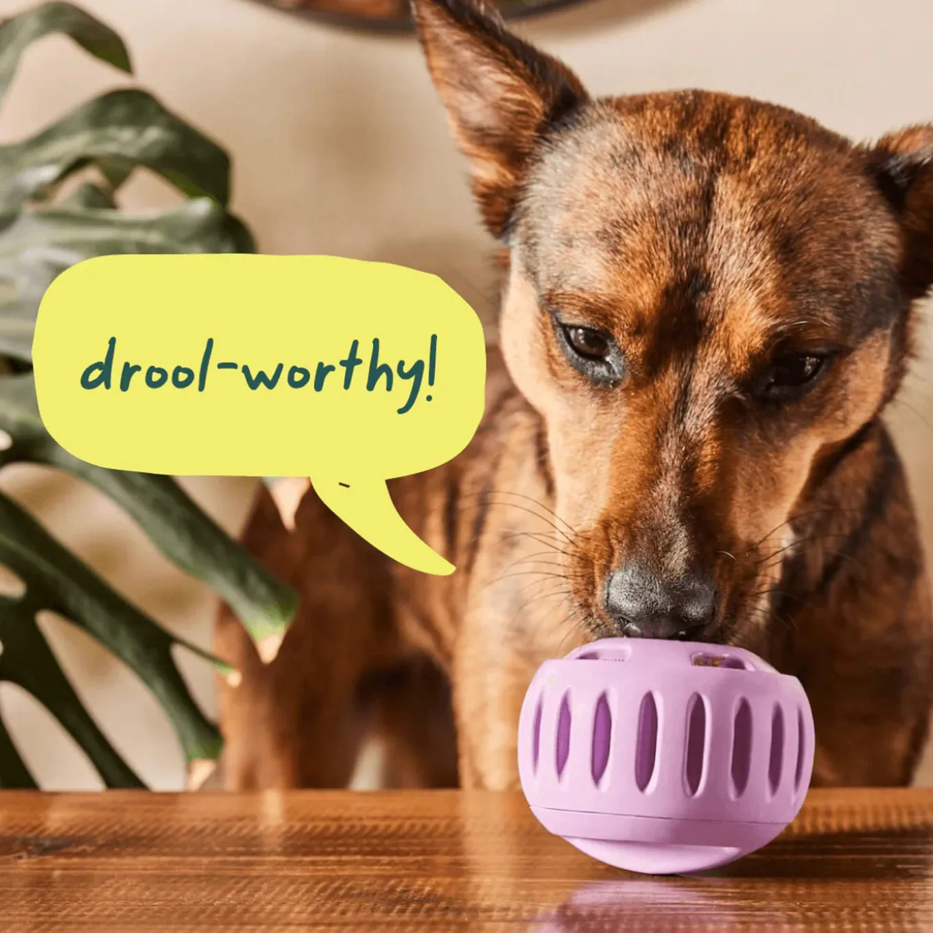 Woof Beef & Peanut Butter Pops for Dogs