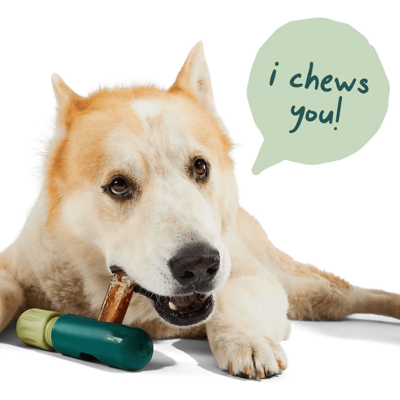 Woof Bullysafe Toys for Dogs