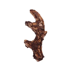 Woof HonestChew Meaty Beef Coated Ultra Tough Plant Based Dog Chew Toy
