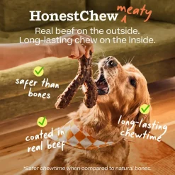 Woof HonestChew Meaty Beef Coated Ultra Tough Plant Based Dog Chew Toy