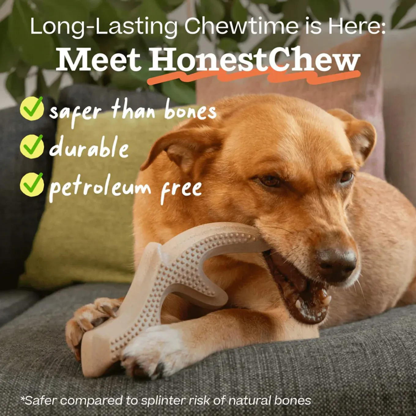 Woof HonestChew Ultra Tough Plant Based Dog Chew Toy