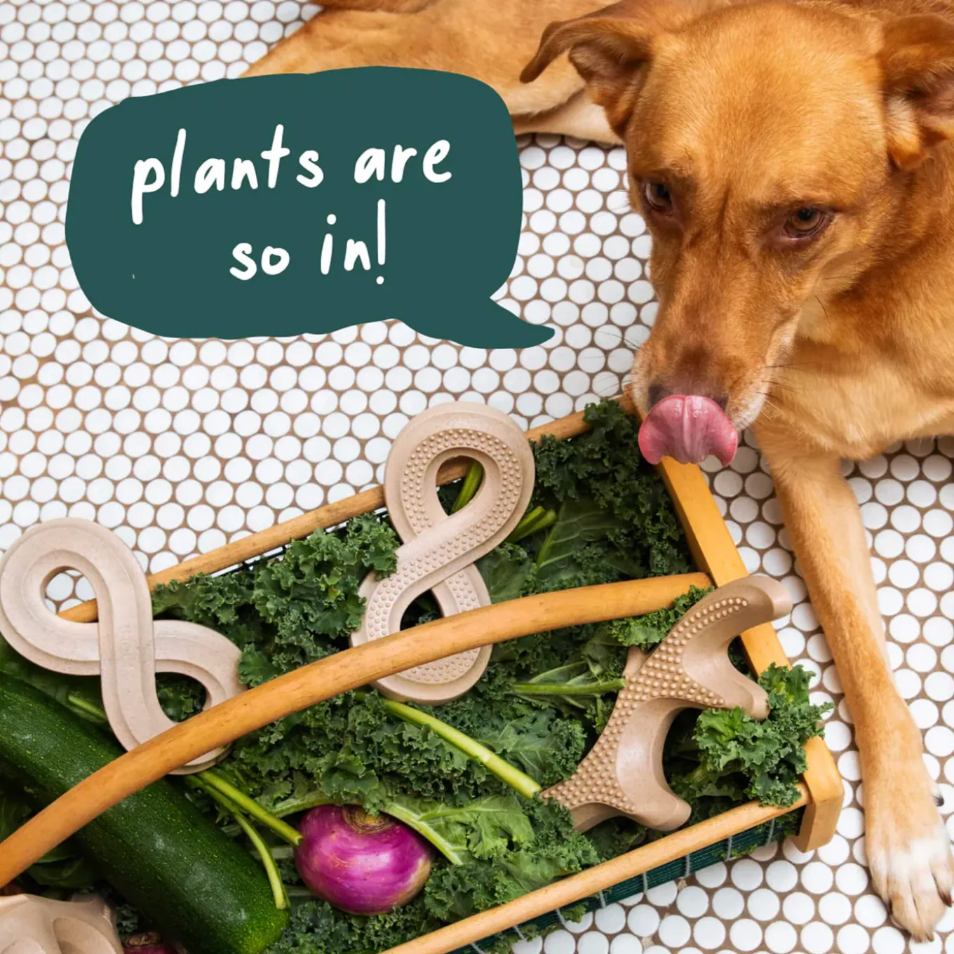 Woof HonestChew Ultra Tough Plant Based Dog Chew Toy