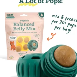 Woof Pupsicle Mix for Dogs 5.5 oz