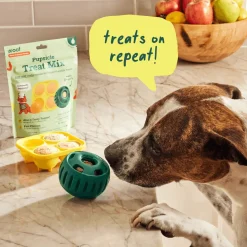 Woof Pupsicle Treat Trays for Dogs