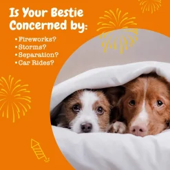 Zesty Paws Calming Bites for Dogs