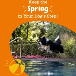 Zesty Paws Hip & Joint Bites for Dogs