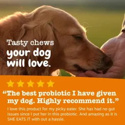 Zesty Paws Probiotic Bites For Dogs