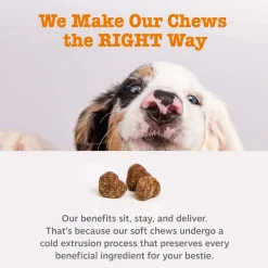 Zesty Paws Probiotic Bites For Dogs