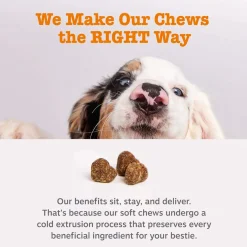 Zesty Paws Turmeric Curcumin Bites for Dogs