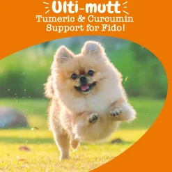 Zesty Paws Turmeric Curcumin Bites for Dogs