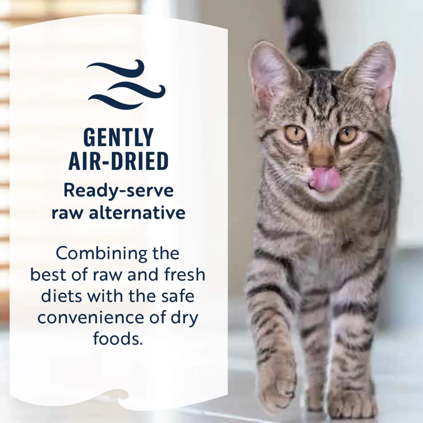 ZiwiPeak Daily Cuisine Grain-Free Air-Dried Cat Food