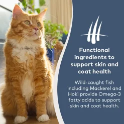 ZiwiPeak Steam & Dried Cat Food